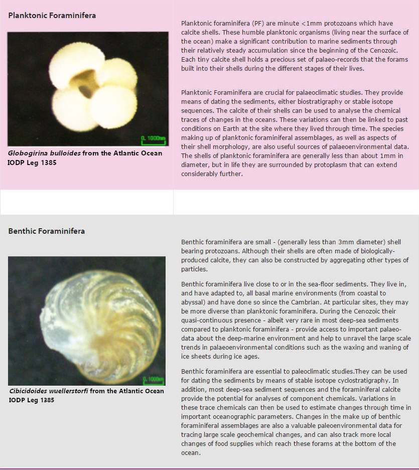 Benthic and planktic table