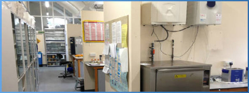 Sed Lab