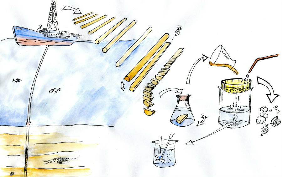 Cartoon showing the process of retrieving cores to producing samples